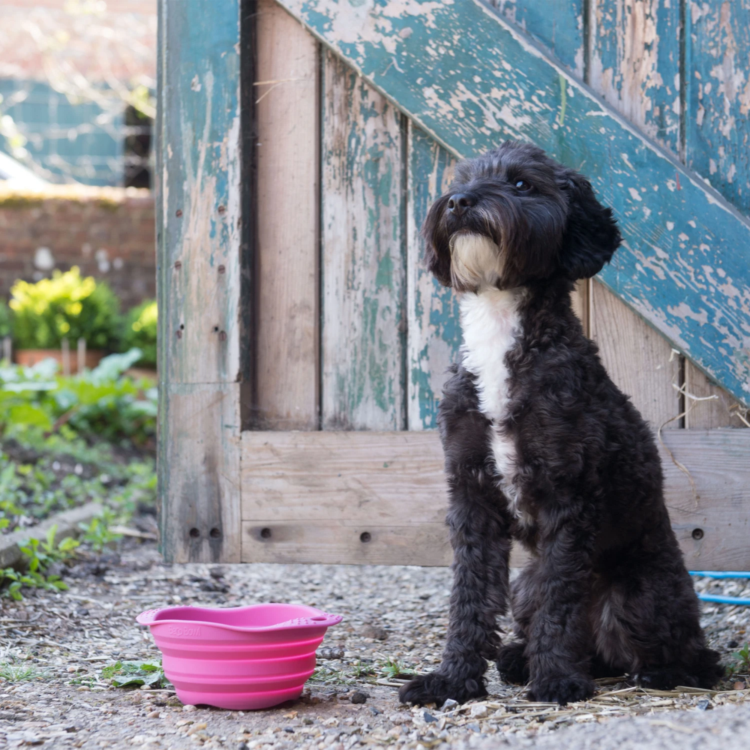 Beco Travel Bowl - Afbeelding 11