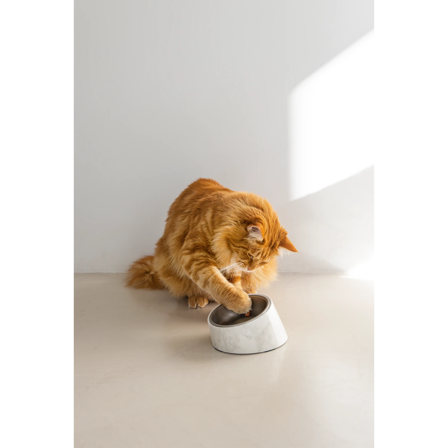 Designed By Lotte Kattenvoerbak Vita - Afbeelding 10