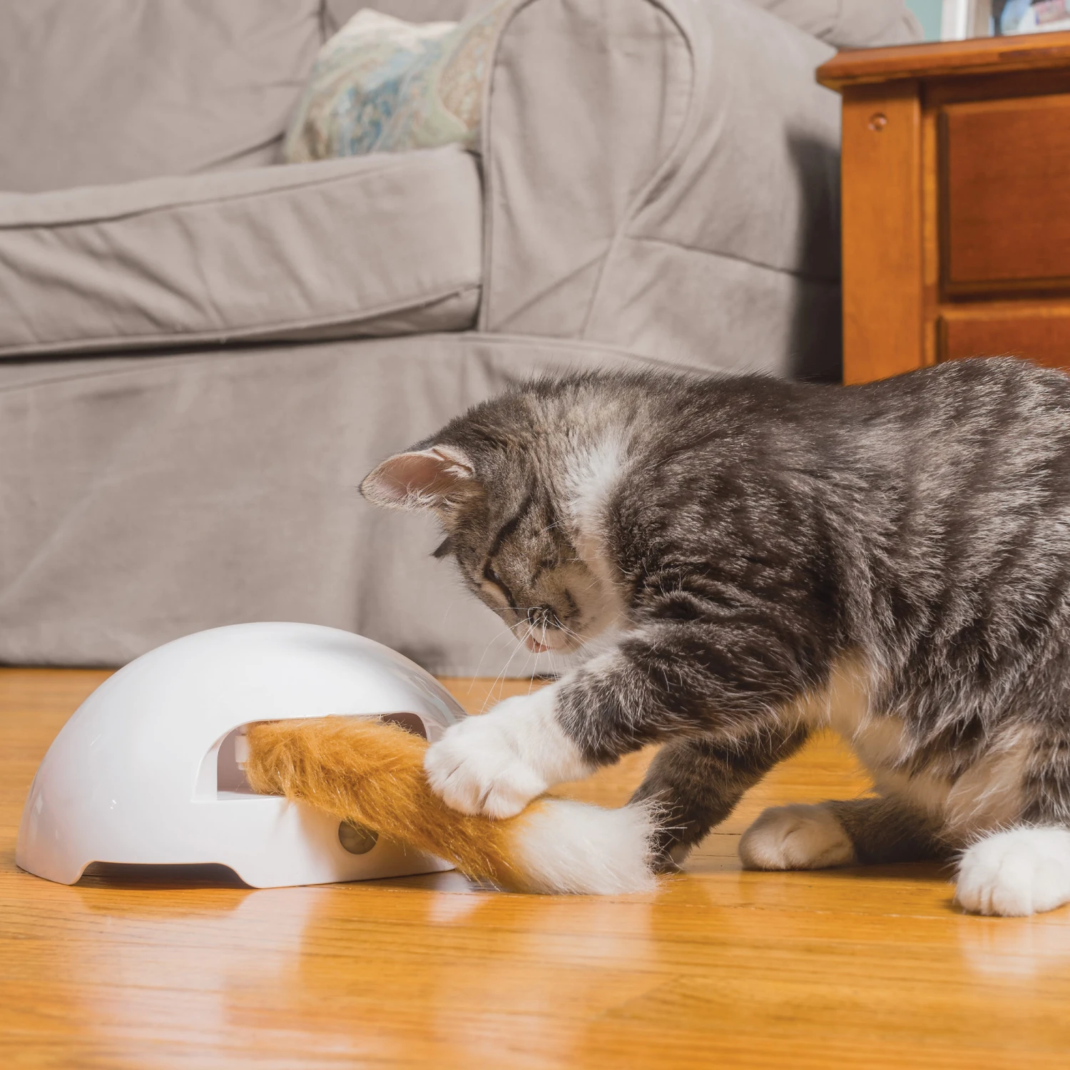 FroliCat Fox - Afbeelding 2