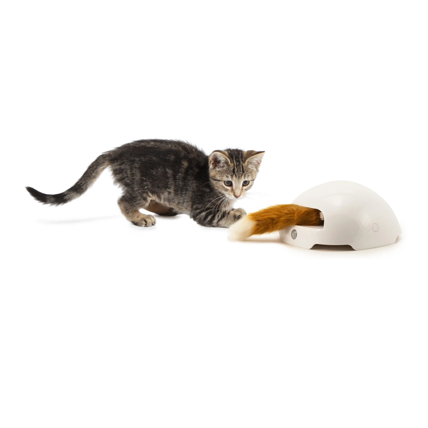 FroliCat Fox - Afbeelding 4