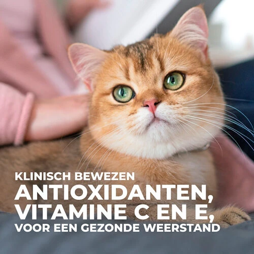 Hill's Science Plan - Feline Adult - Chicken/Poultry - Maaltijdzakje - Afbeelding 6