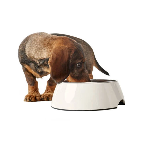 Hunter Melamine Voer- En Drinkbak - Wit - Afbeelding 7