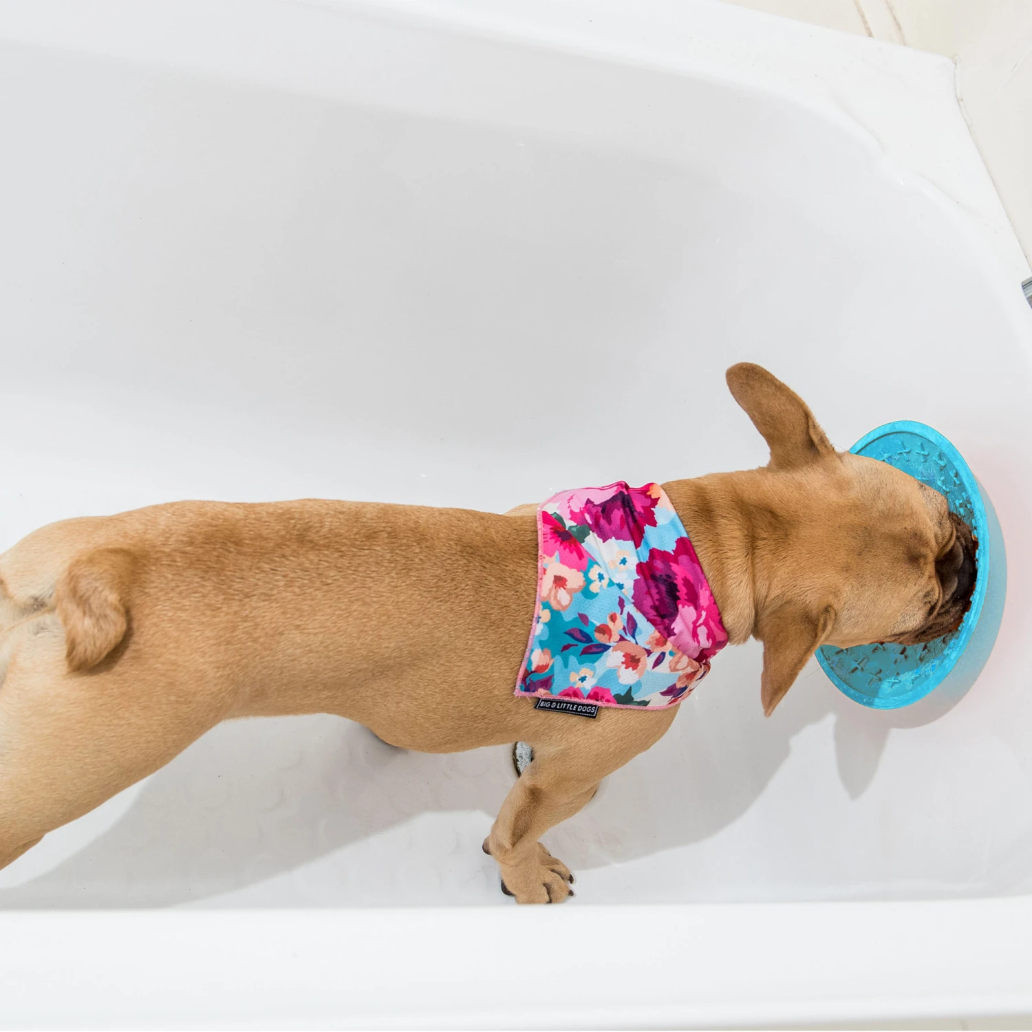 LickiMat Splash - Afbeelding 3