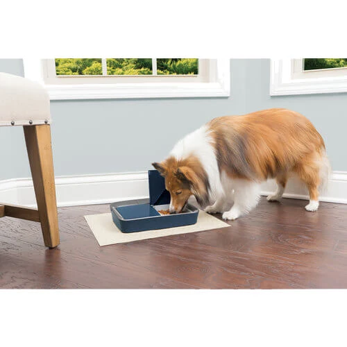 PetSafe Automatic 2 Meal Pet Feeder - Afbeelding 4