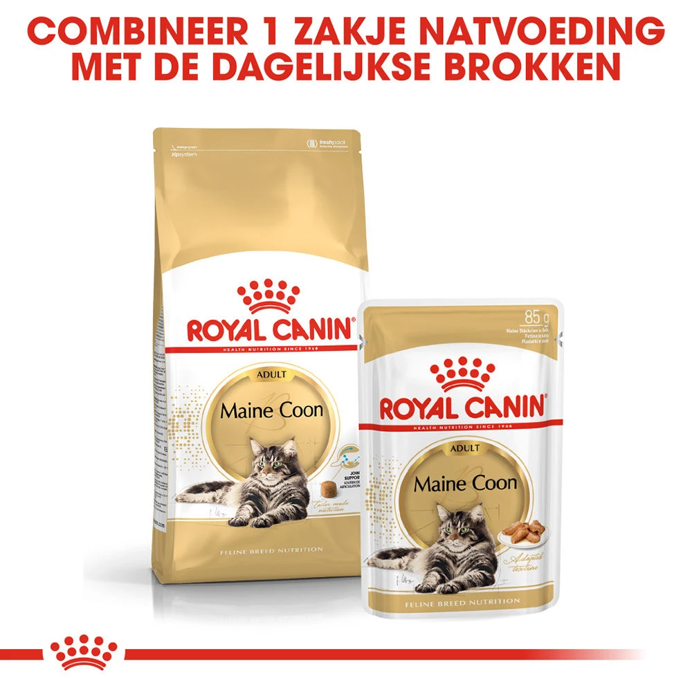 Royal Canin Maine Coon Adult Wet - Kattenvoer - Afbeelding 6